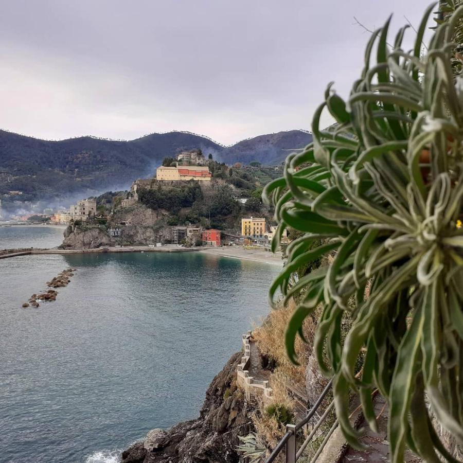 Appartamento I Pesci Monterosso al Mare Bagian luar foto